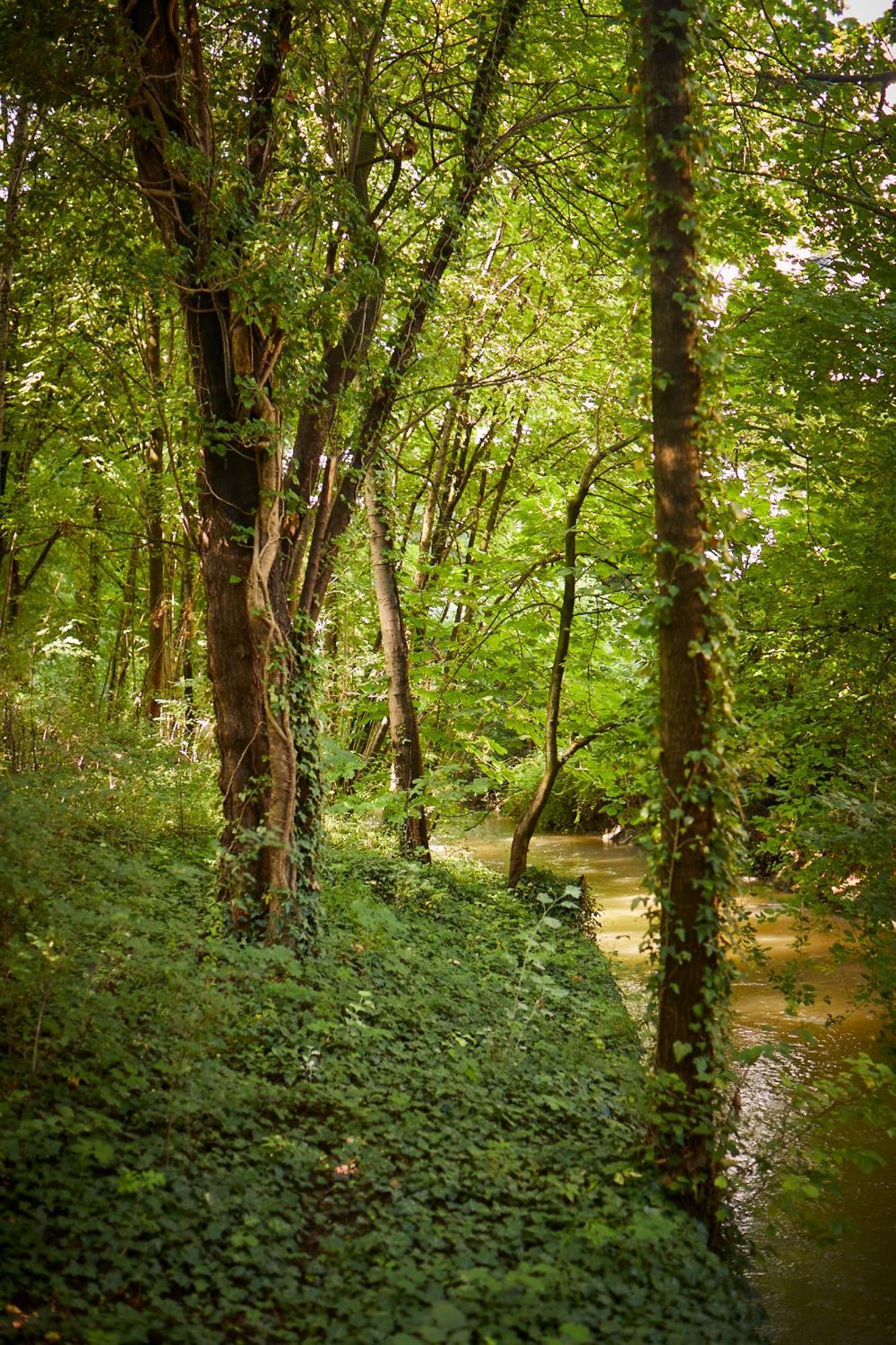 Gaestehaus Englischer Garten Münih Dış mekan fotoğraf